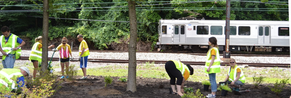  Media Advisory: RTA and partner groups clean up Red Line today